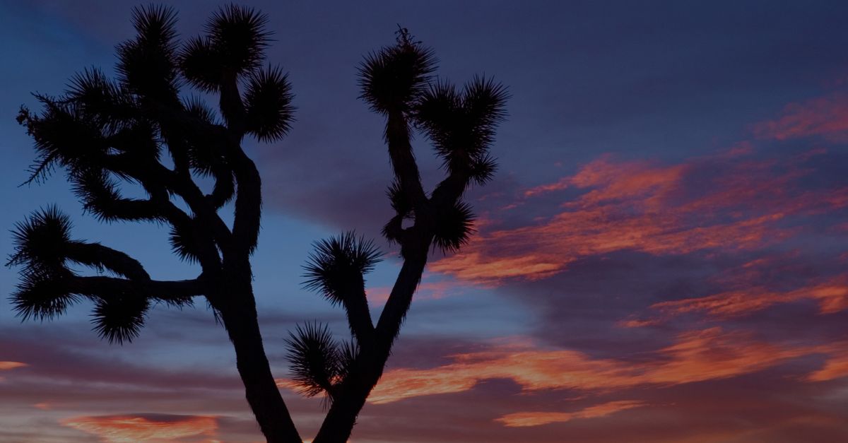 San Bernardino County